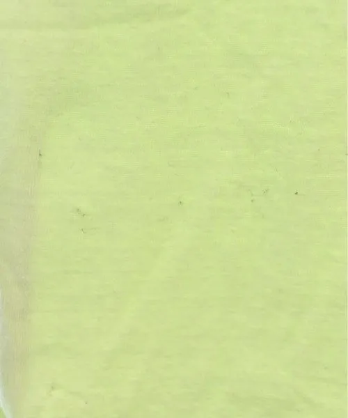 Americana Tee Shirts/Tops