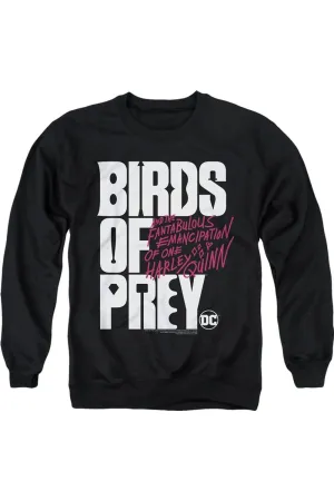 Birds Of Prey Birds Of Prey Logo Adult Crewneck Sweatshirt