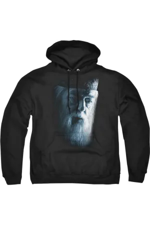 Harry Potter Dumbledore Face Adult Pull Over Hoodie / Hooded Sweatshirt