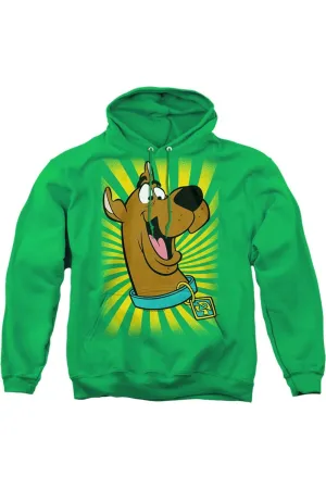 Scooby Doo Adult Pull Over Hoodie / Hooded Sweatshirt