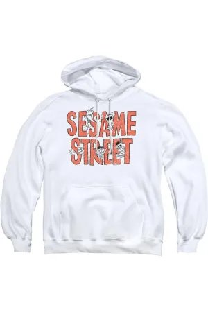 Sesame Street In Letters Adult Pull Over Hoodie