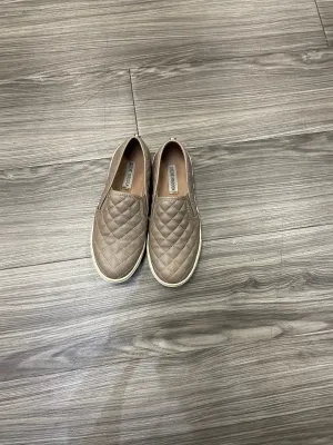 Shoes Flats By Steve Madden  Size: 7 steve madden