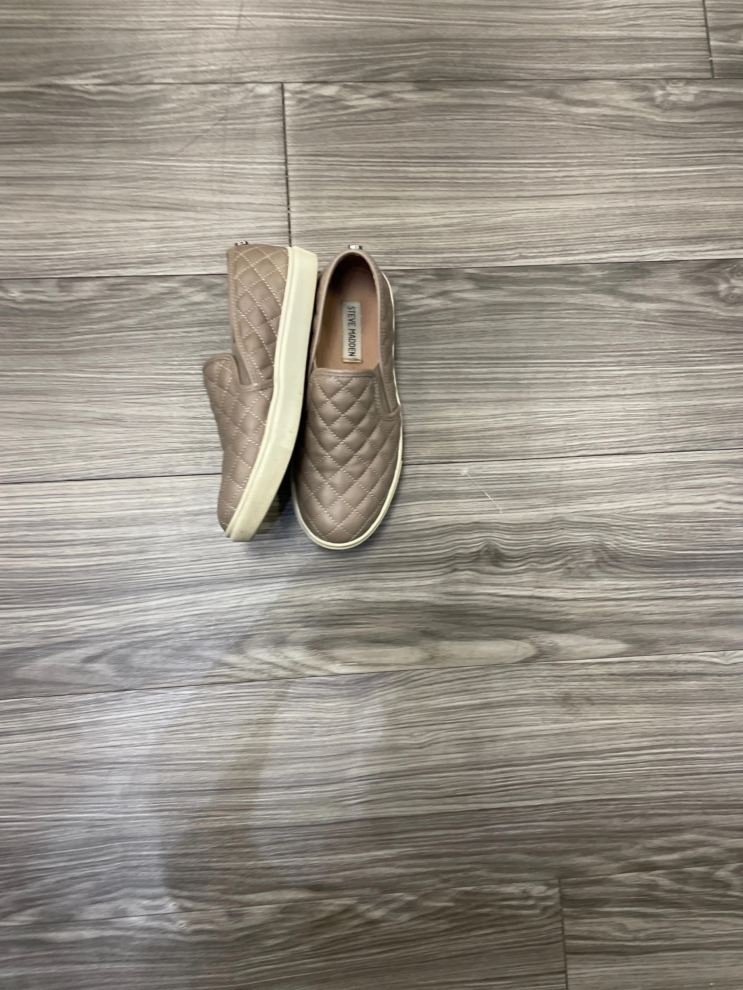Shoes Flats By Steve Madden  Size: 7 steve madden