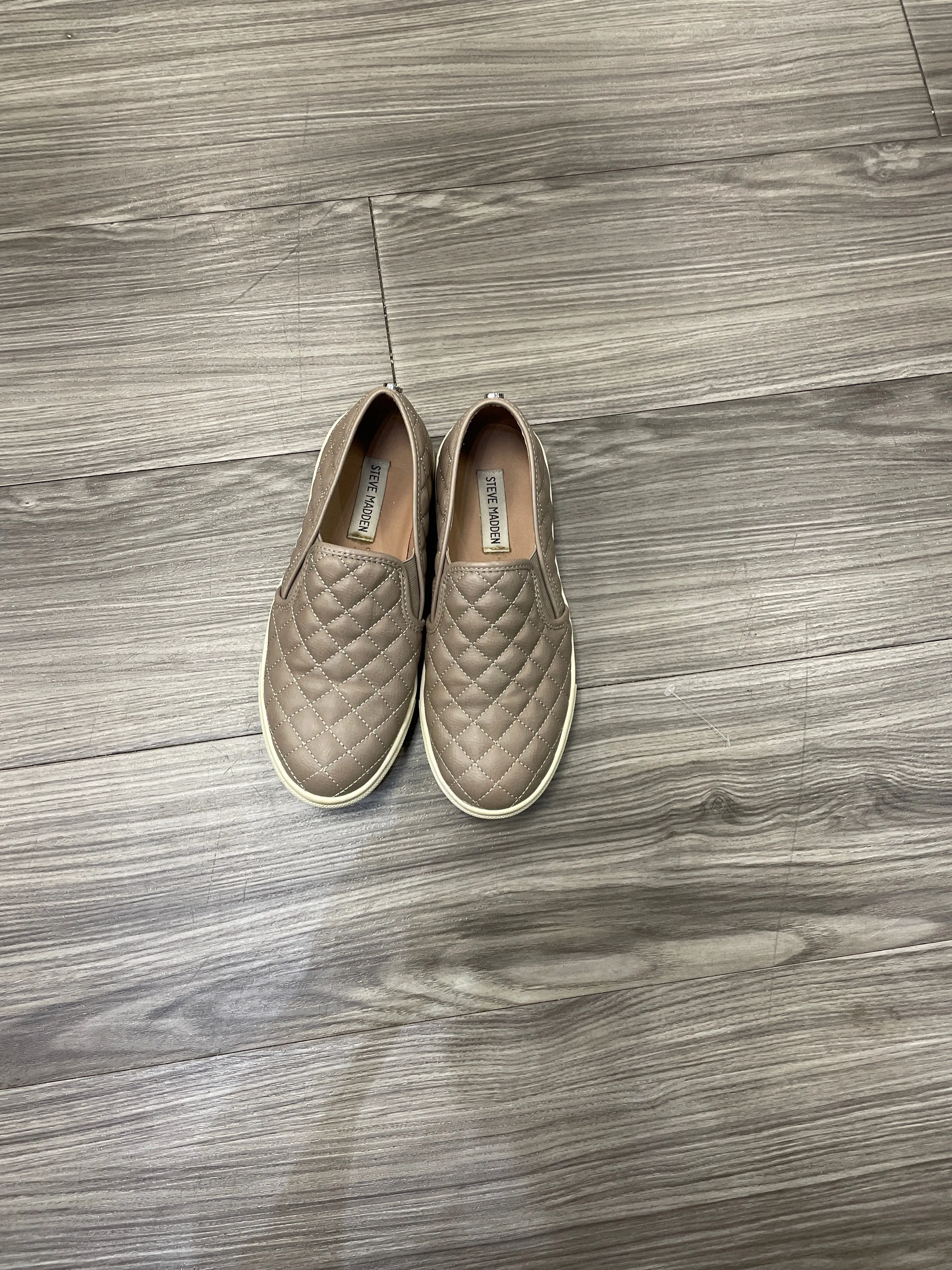Shoes Flats By Steve Madden  Size: 7 steve madden