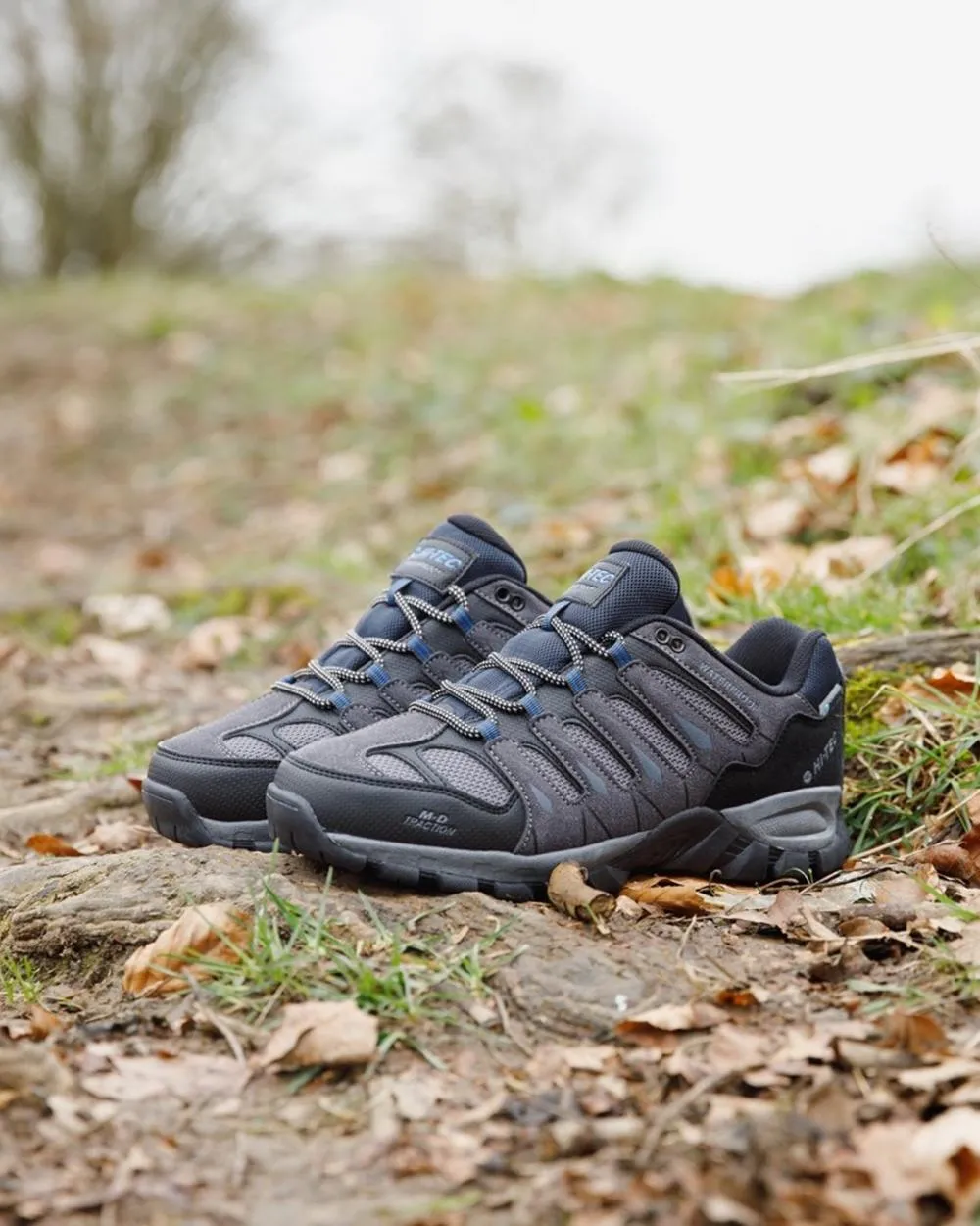 Shoes Hi-Tec Hi-Tec Mens Corzo Low Boots